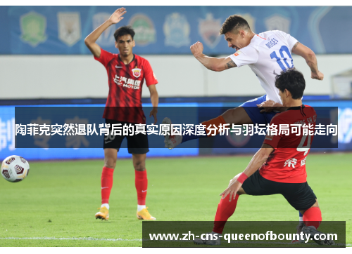 陶菲克突然退队背后的真实原因深度分析与羽坛格局可能走向