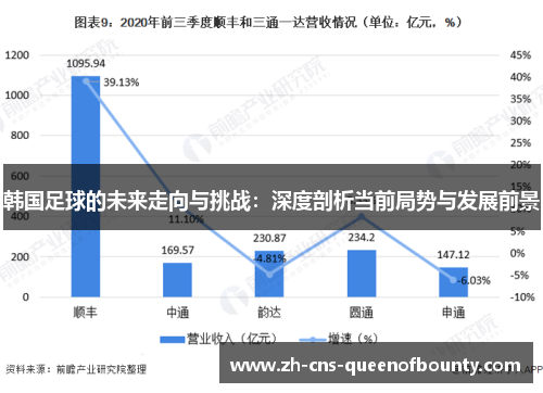 韩国足球的未来走向与挑战：深度剖析当前局势与发展前景